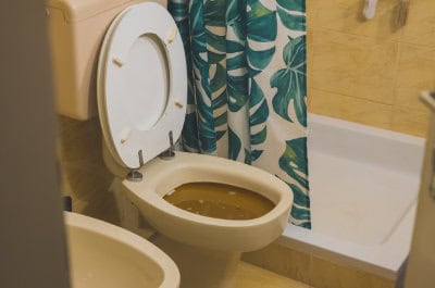 A blocked up toilet in a shower room that needs unblocking
